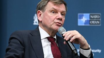 В Германии сильно обеспокоены успехами России в зоне СВО: реагировать планируют с позиции силы