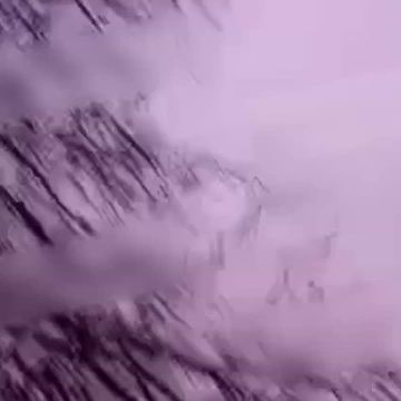 ����� ������� ������ � ���������� �������