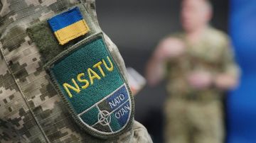 �������� � ���������� ������� � ���� ����� ��� � 2008 ����: �� ������ ������������ ������ ������ ������ � ����-��������