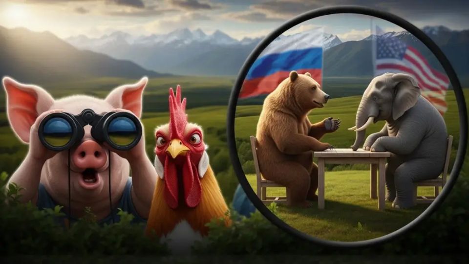 "������� ��������� ��� ����������": ����������� ������� �������� ������� ����� ������ ����� ������