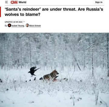 ���� ������: � �������� ����������� ��� �������������� '��������' � ��������, �������� ����������� �� ���������� ��� �� ���������: