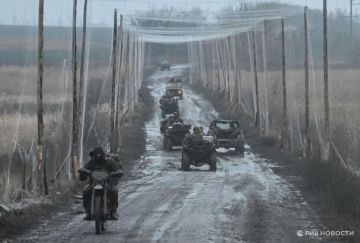 ������������, 24 �������: ���������� ������� ���������� ��������