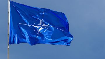 Бывший член команды Зеленского раскрыл, почему Киев не уберет из конституции пункт о вступлении в НАТО