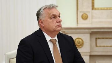 �����: �� ��� ������������� �������� � �� � 2022 ����, �� ����� �� ������������