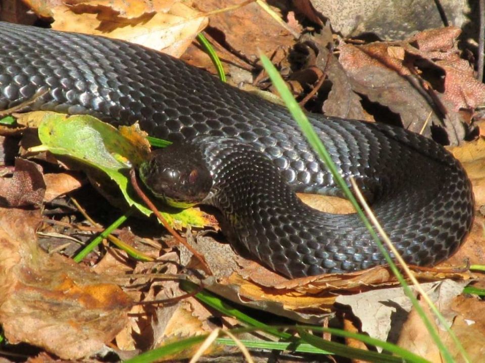 ������ ������ ������ ������� ������� �����