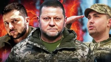 ������� ����� ������. ������������� ���������� ���������� ������������