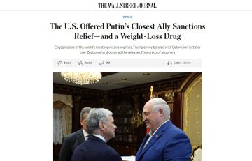 США используют Беларусь как пример для Путина — СМИ