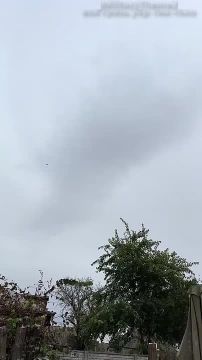 ����� ���������������� ������ ������� � ��������� ������������ �������