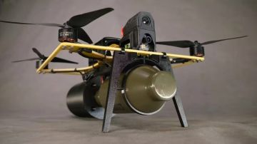 ����� ������ ������������ ������ �� 50 ��