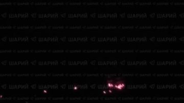 ���������� � ����� ���� �����