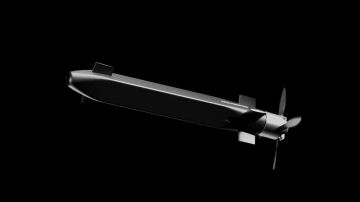 ��� ������: ������ �������� �� ������� ����� ��������������� ����