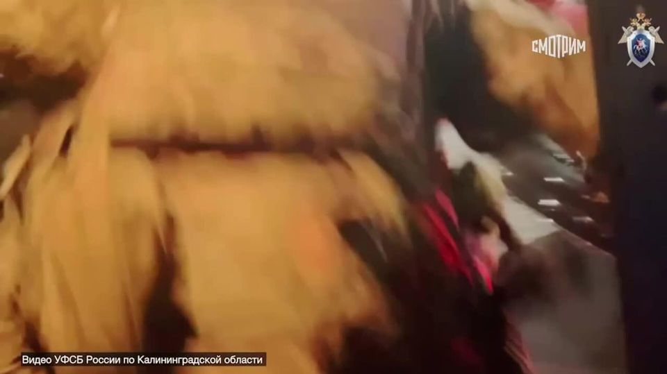 ФСБ задержала троих жителей Калининградской области, похищавших деньги у участников СВО