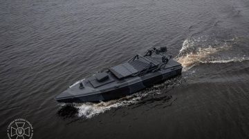 "�� ����� ������� ������� ������": ������ � �������� ������������ ���������� �������-���������