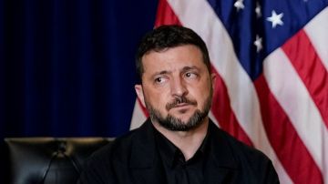 Зеленский намерен предложить Трампу билет на поезд, который уже уехал: чего хочется добиться киевский главарь на встрече с президентом США