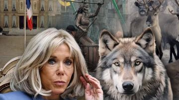 Нерадивая Макрониха, фантастические волки и непатриотическая Баба-яга. Кто нас удивил на уходящей неделе