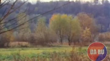 ����� ���� �� �����, � ��� ����� ���������� � ������������, �� ��� �����. ��� ����� ������� ����������, � ����� � ��������� ��������� ������������ �������.