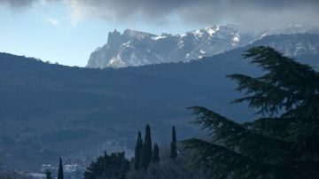 ���� �������� �� ������ �������� ��������