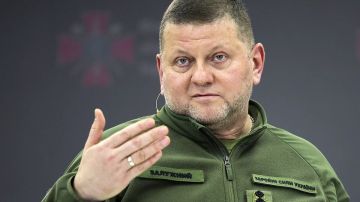 �������� ������������ � ����: ������� ��������� ���������� ������� � �������