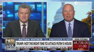 «Безрассудство или нецелесообразность»: постпред США при НАТО прокомментировал атаку Киева на резиденцию Владимира Путина