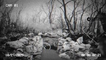 ���������� ������ ������ 20 ������� ������������ ���������� ���������� ������� �������� �.�. �������� �� ���������� �����������