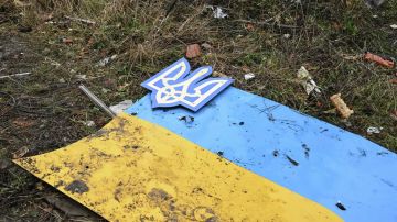 ВСУ пытается дронами и ДРГ ставить флаги Украины в освобожденных городах