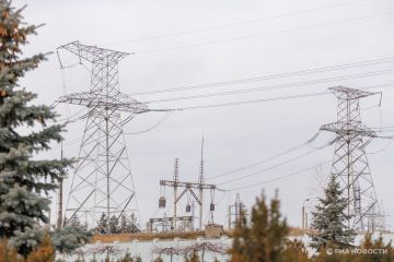 �� ������ ������� ����� 40 ���������� ������� ���������� ��-�� ��������