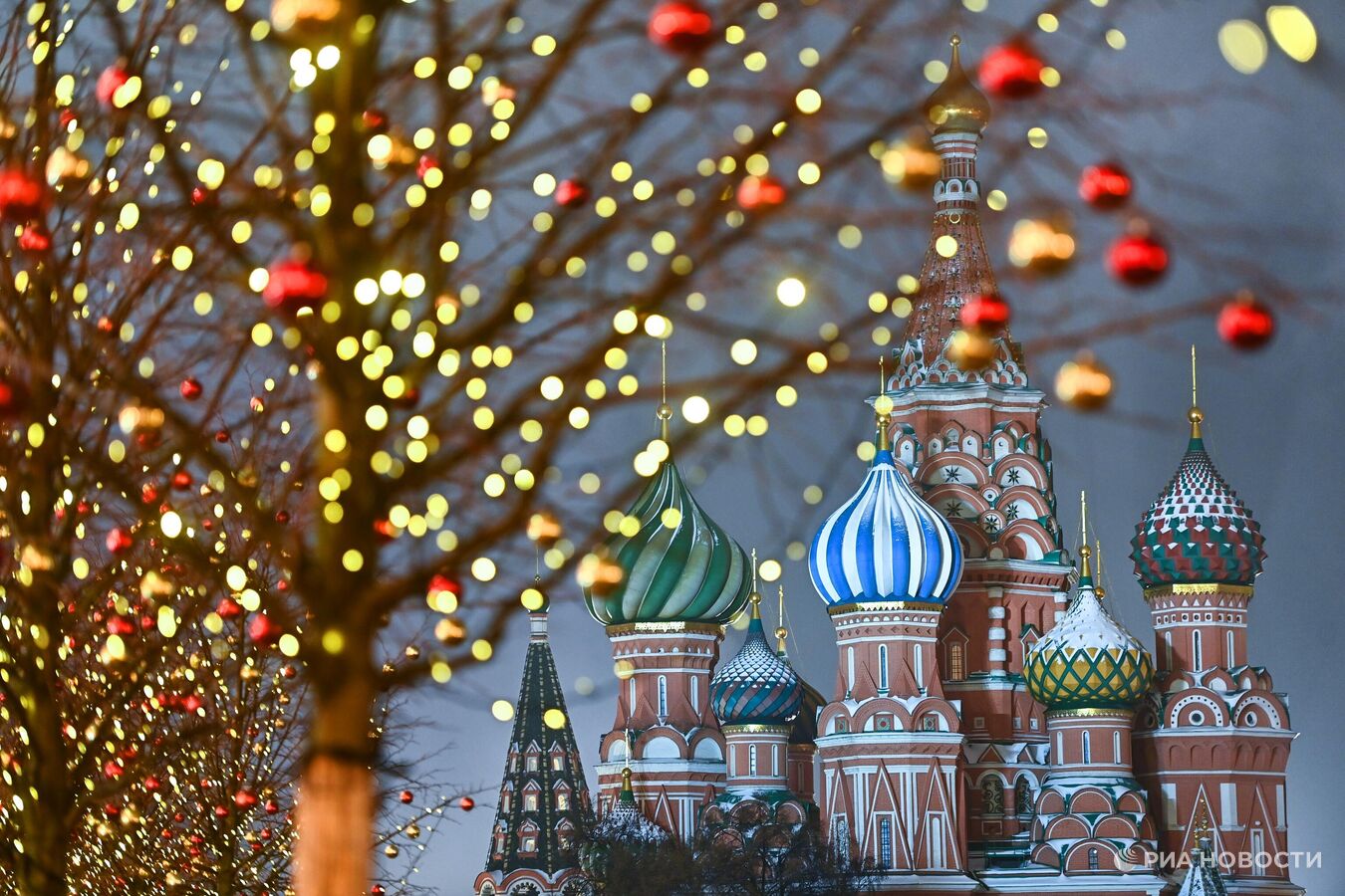 "Уберечь от риска". В Германии высказались о переговорах с Россией