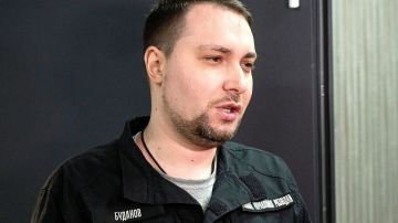 ����� ��������� �������� ���������� ��������* ����� ������ �����: ��� ������