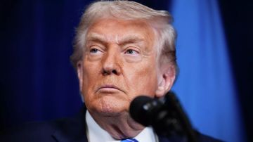 Отношение Трампа к Зеленскому на переговорах во Флориде было «жестоким» – WP