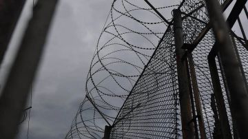 ��� ����� ������� �������� � ���� ���� �����������: ���������� ������������ ��� ���������� ����������� ������