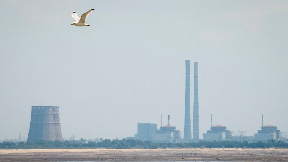 �������� ���� ���������������� ����������� ����������� ����������: ���� ���������� ������