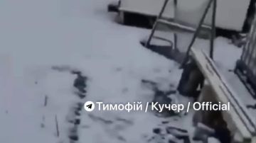 ����� ������ � ���������������