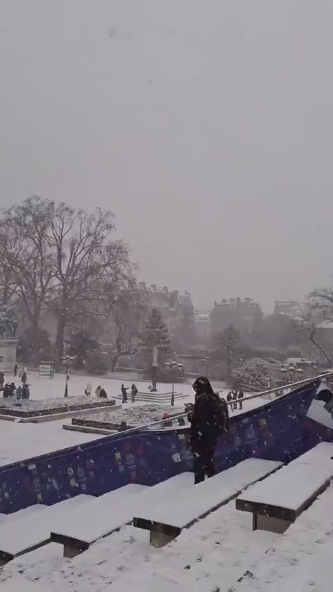 Сильный снегопад парализовал Париж перед прибытием Зеленского