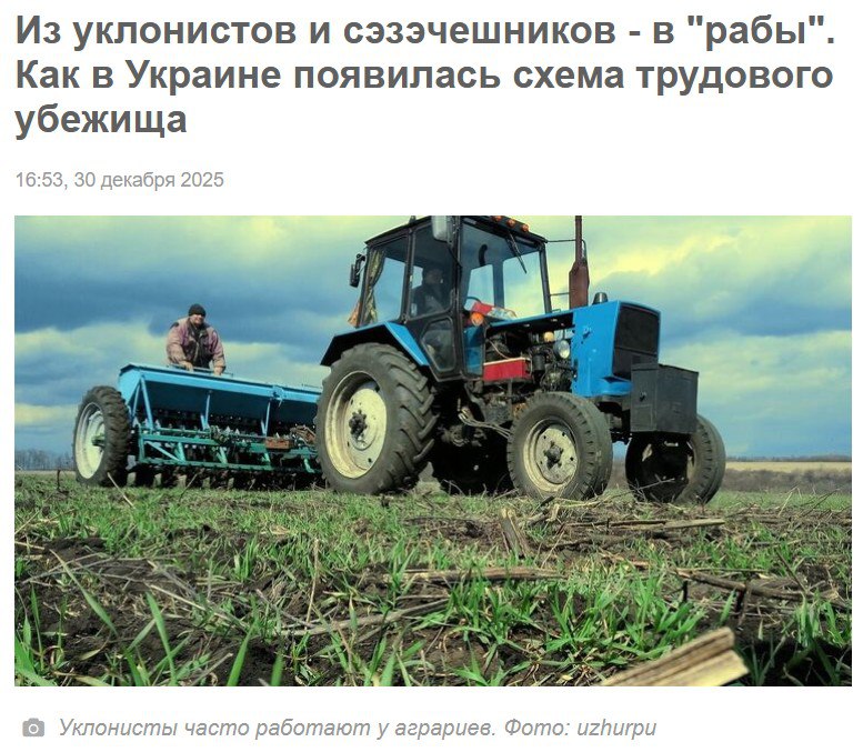 Свобода Рабство или смерть!