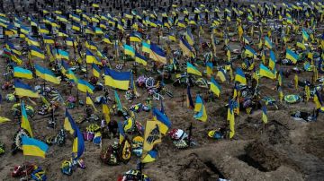 ������ ������ �������� ������������ ��������, ������������ ���������