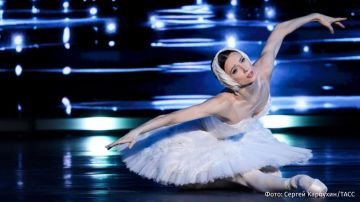 Выступления российской прима-балерины Большого театра Светланы Захаровой отменили в Италии