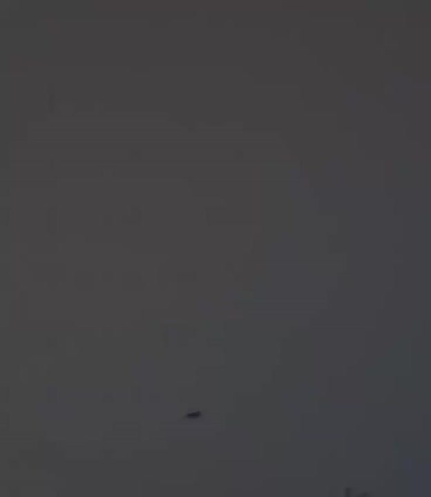 Тем временем Гераньки радуют Киев