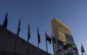 СБ ООН запланировал заседание по Украине на 12 января, следует из его обновленного расписания