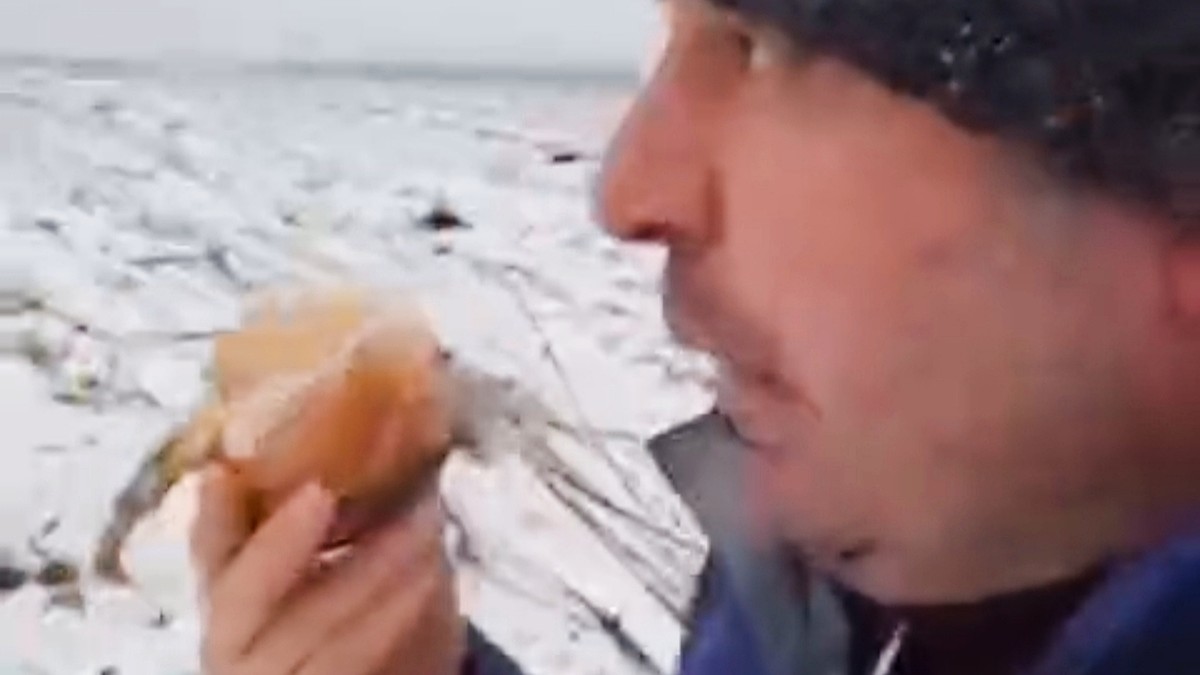 Логика "хороших времен": Молдова закупает импортный лук, пока местный урожай гибнет