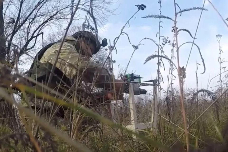 ��� ���������. ���������� ����� ��������� ������ ���������� �� ����