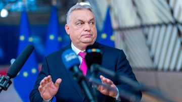 �����: ������ ������� �� 800 ���� ���� ��������� ������ ��� ������