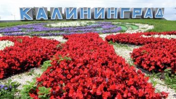 ������ �� �������� ������ ��� ������������?