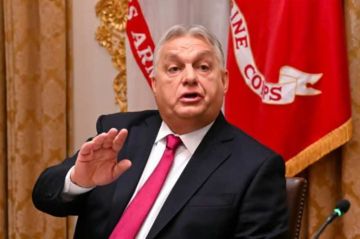 ������ ����� ������ ������ ������� ���� �� �������������� �����