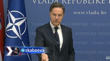 Рютте посылает Зеленскому сигнал, что пора решать территориальный вопрос