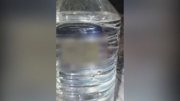 ��������� ���: ����������� ���������� ������: ��� ������� ������ � �������� ����