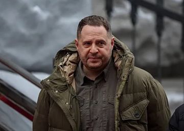 ���� ��������� �� ����: ������ ������ � �������� ������