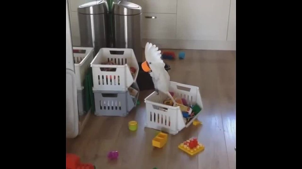 «Поручил доработать документ о гарантиях безопасности для Украины со стороны США и передать его для рассмотрения на самом высоком уровне»