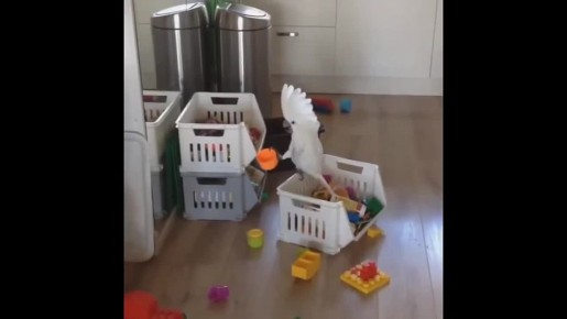 ���������� ������� ������� ������� �� ������, ������� ������������� � ���, ������ �� ��� ��������� ����� �� �������� ���������(�)