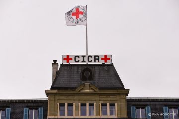 В МККК назвали число запросов на поиск людей за время конфликта на Украине