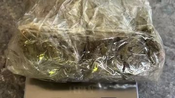 25 ������� ��������� � ��� �� �������� �����������, �������� � ���� �� �������